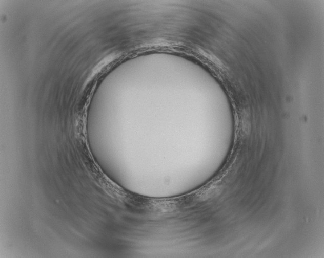 X0000075401258200609291632