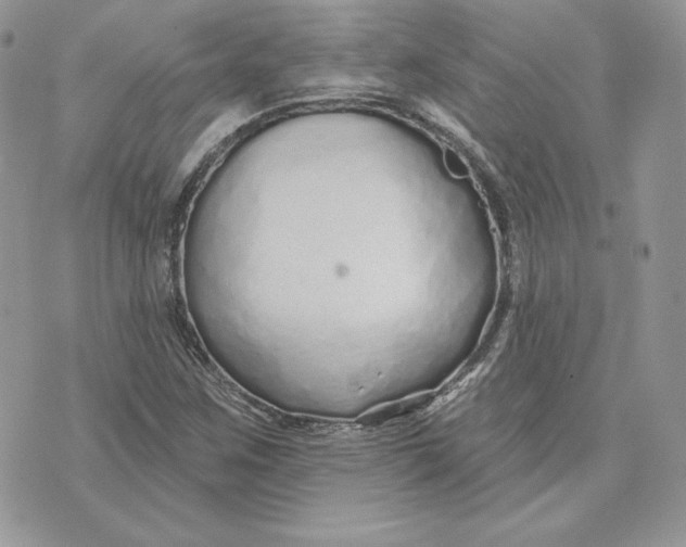 X0000075401259200609291632