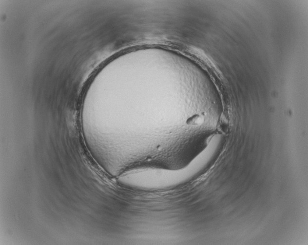 X0000075401260200609291632