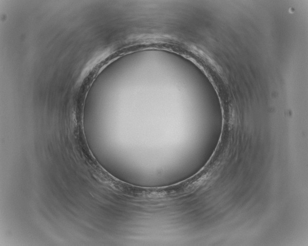 X0000075401261200609291632