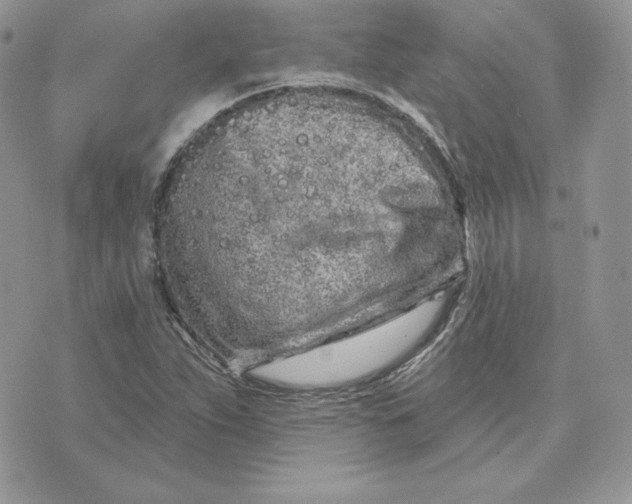 X0000075401263200609291632