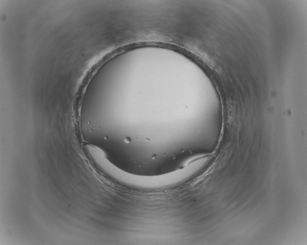 X0000075401264200609291632