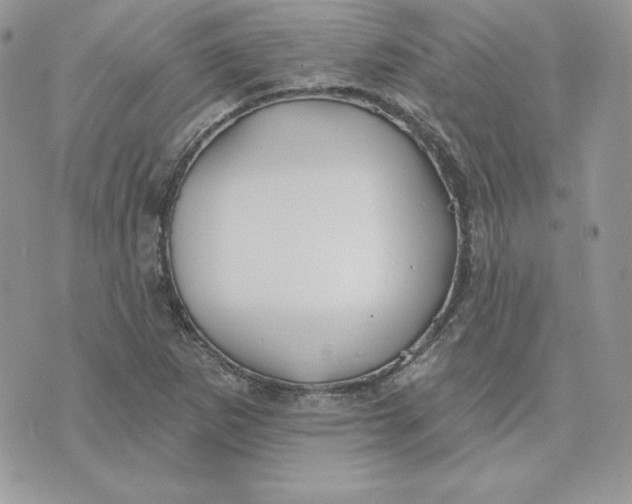 X0000075401265200609291632