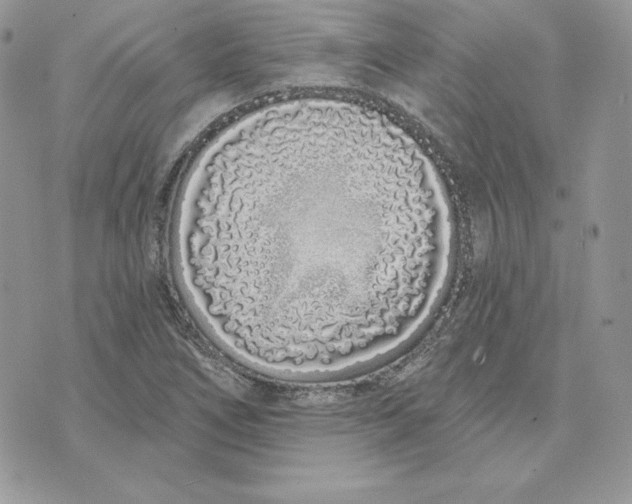 X0000075401266200609291632