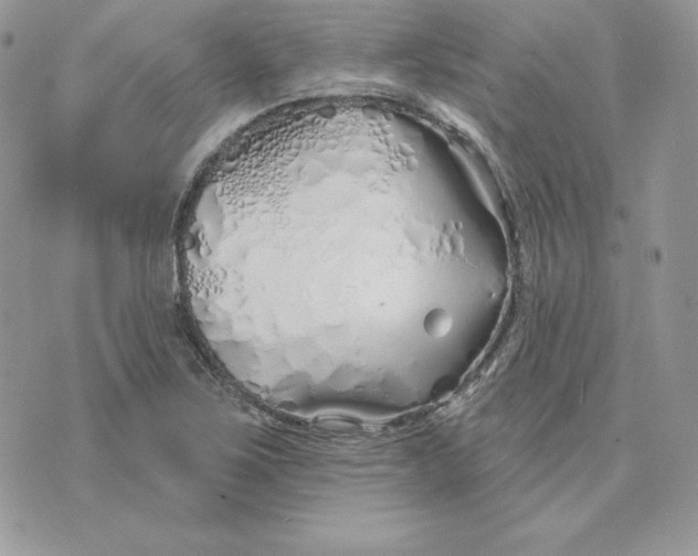 X0000075401267200609291632