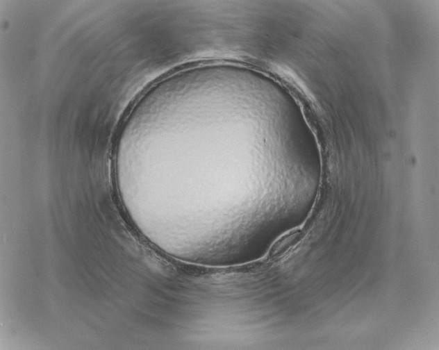 X0000075401268200609291632