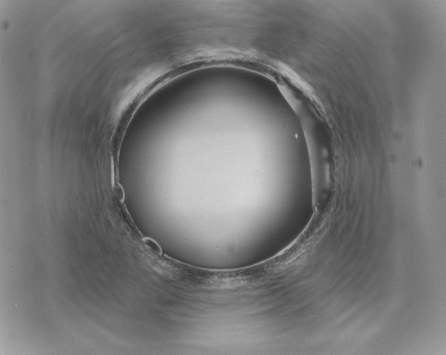 X0000075401269200609291632