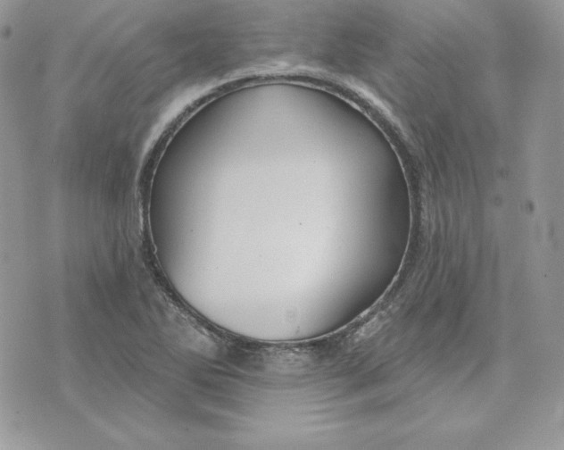 X0000075401270200609291632