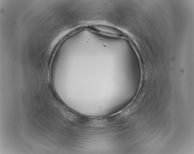 X0000075401271200609291632