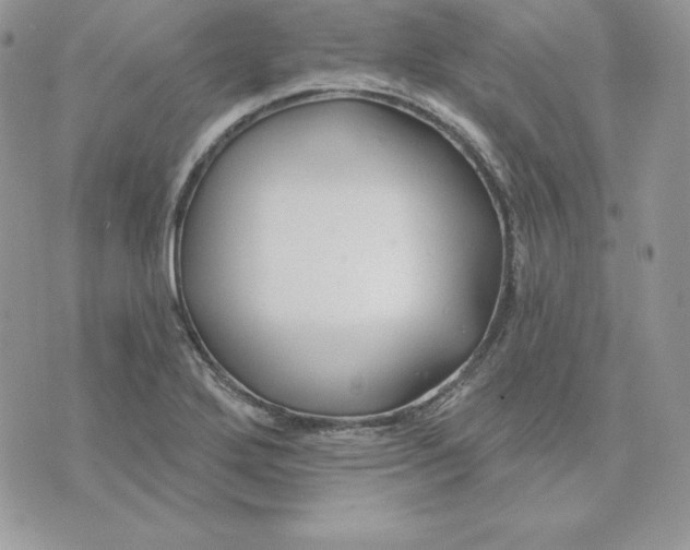 X0000075401272200609291632