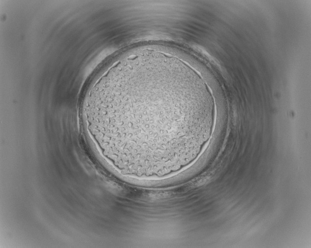 X0000075401274200609291632