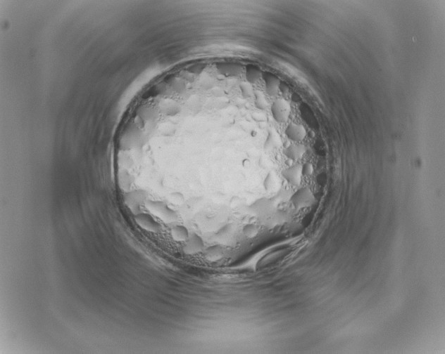 X0000075401275200609291632