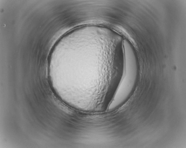 X0000075401276200609291632