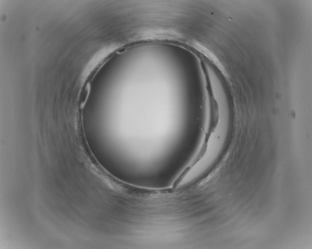 X0000075401277200609291632