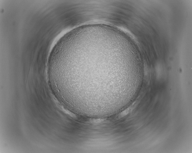 X0000075401278200609291632