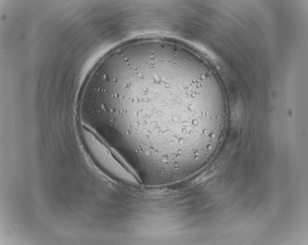 X0000075401279200609291632