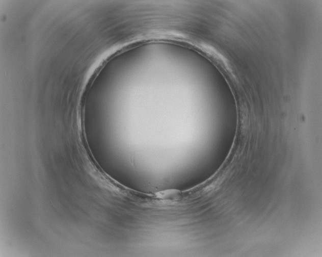 X0000075401280200609291632