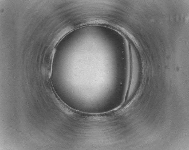 X0000075401281200609291632