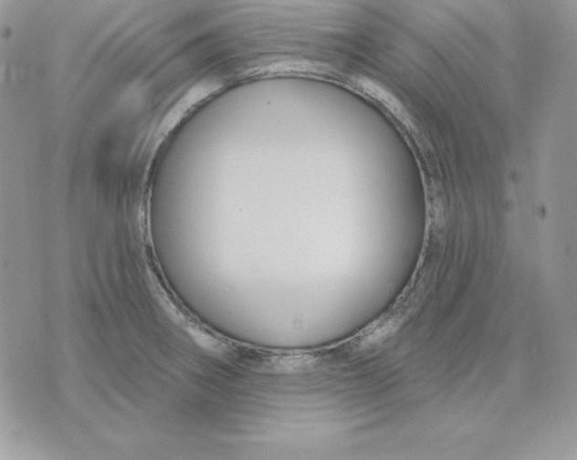 X0000075401282200609291632