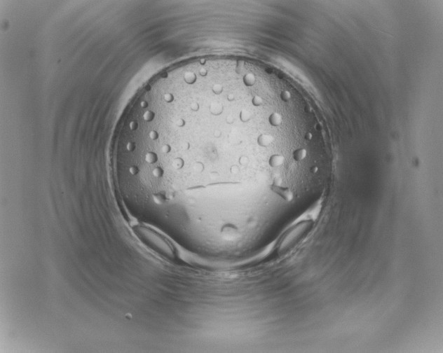 X0000075401283200609291632