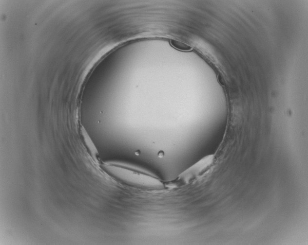 X0000075401284200609291632