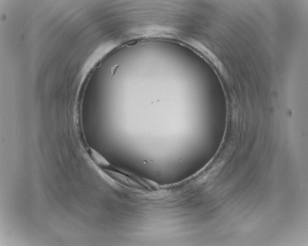 X0000075401285200609291632