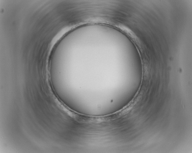 X0000075401286200609291632