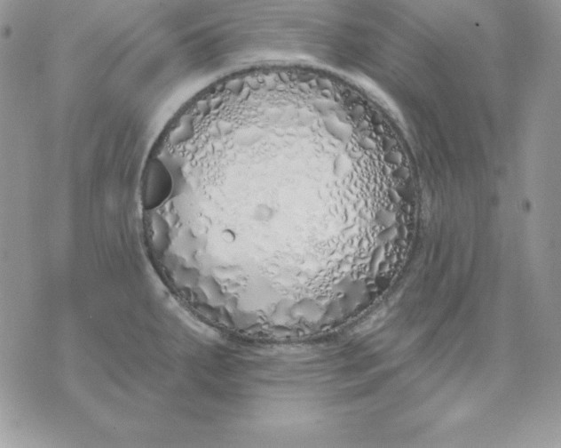 X0000075401287200609291632