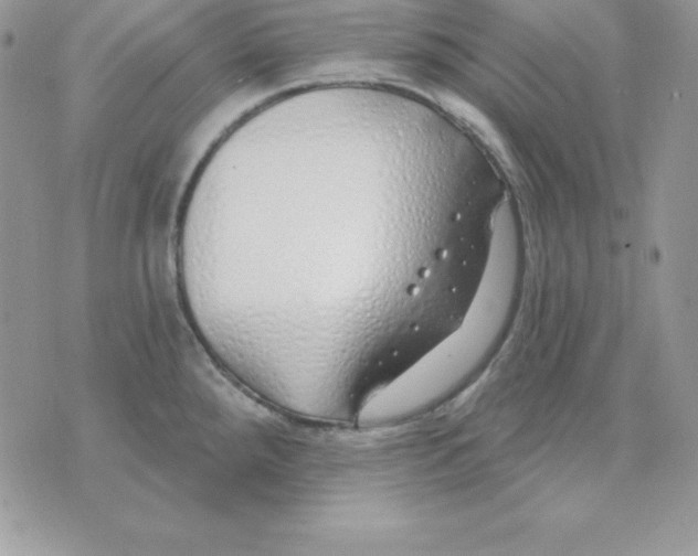 X0000075401288200609291632