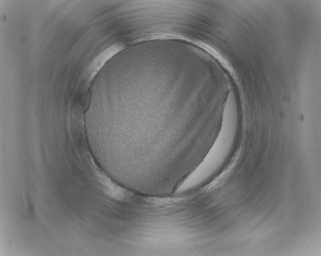 X0000075401289200609291632