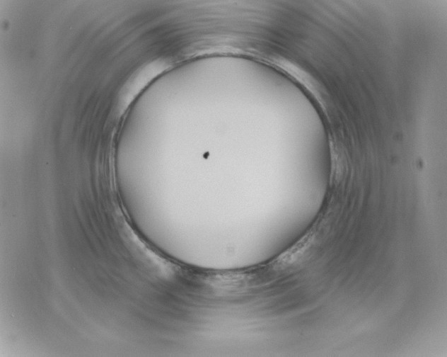 X0000075401290200609291632