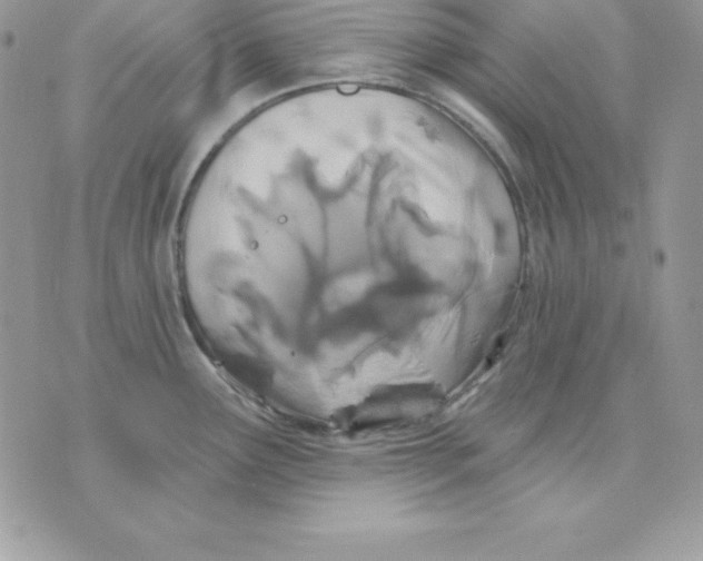 X0000075401291200609291632