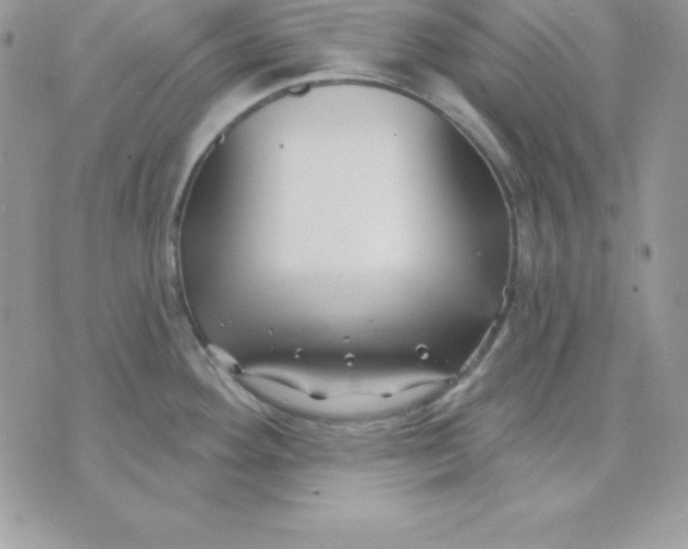 X0000075401292200609291632