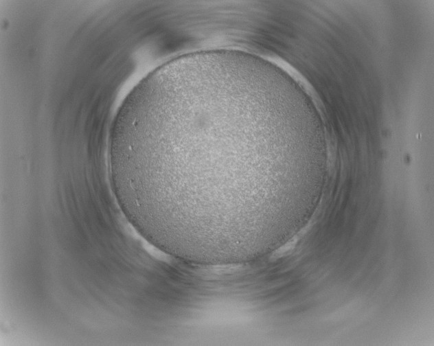 X0000075401294200609291632