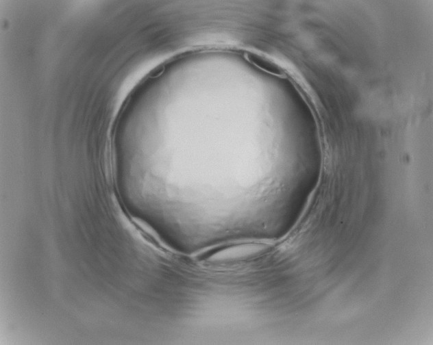 X0000075401295200609291632