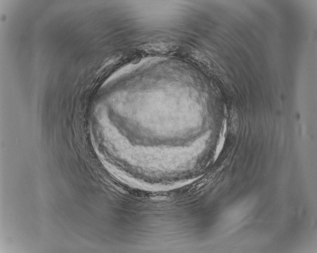 X0000075401297200609291631