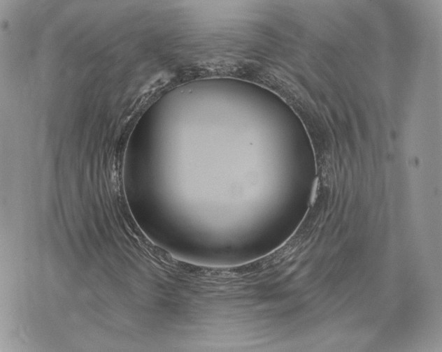 X0000075401298200609291631