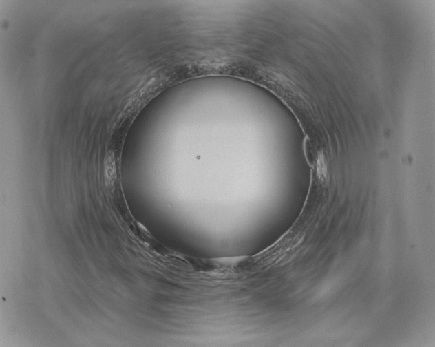 X0000075401299200609291631