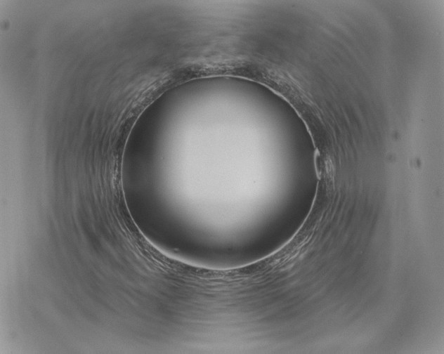 X0000075401300200609291631