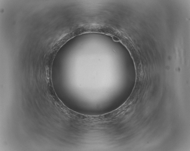 X0000075401301200609291631