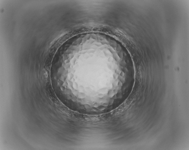 X0000075401302200609291631