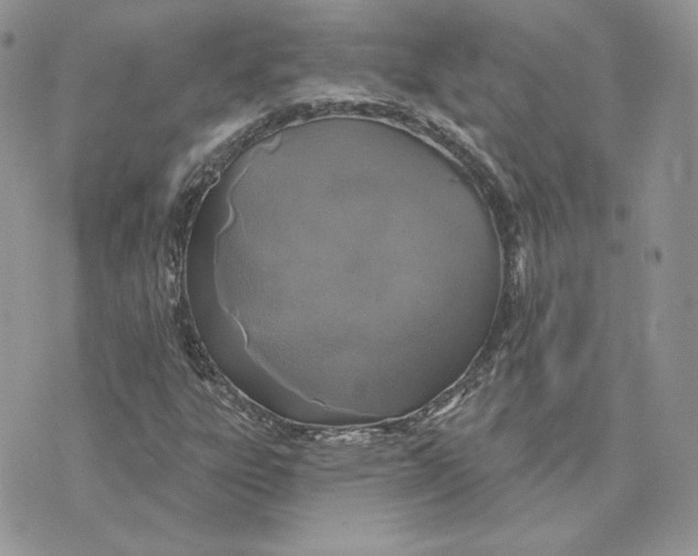 X0000075401303200609291631