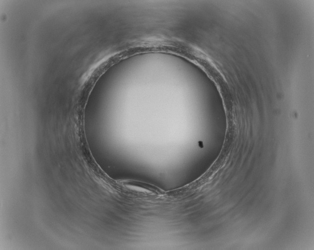 X0000075401304200609291631