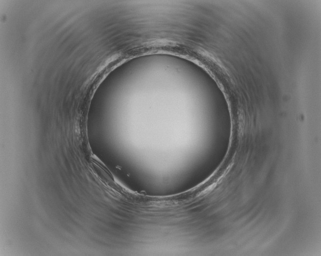 X0000075401305200609291631