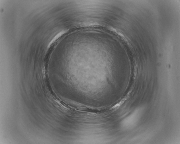 X0000075401306200609291631