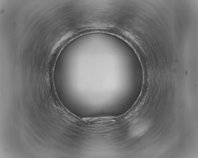 X0000075401307200609291631