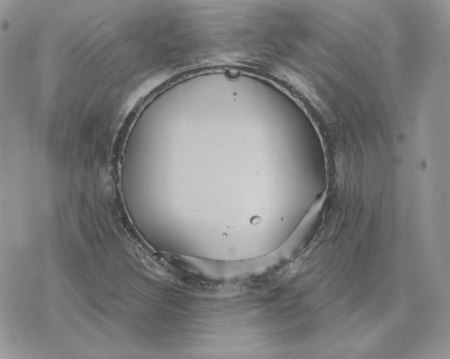 X0000075401308200609291631