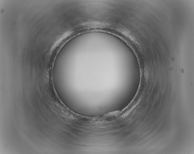 X0000075401309200609291631