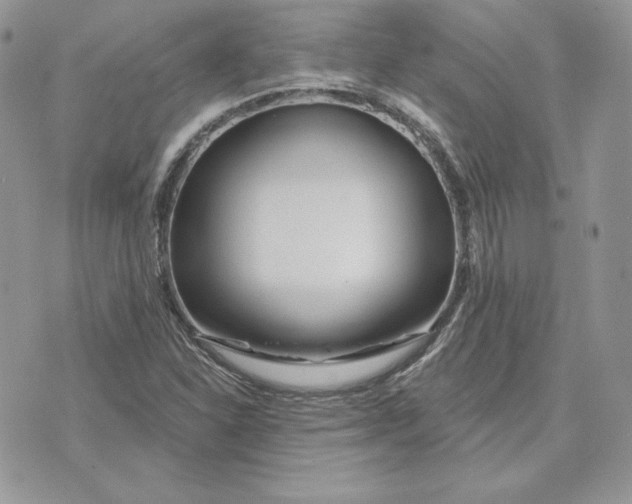 X0000075401310200609291631