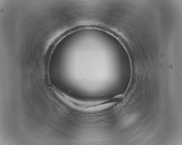 X0000075401311200609291631